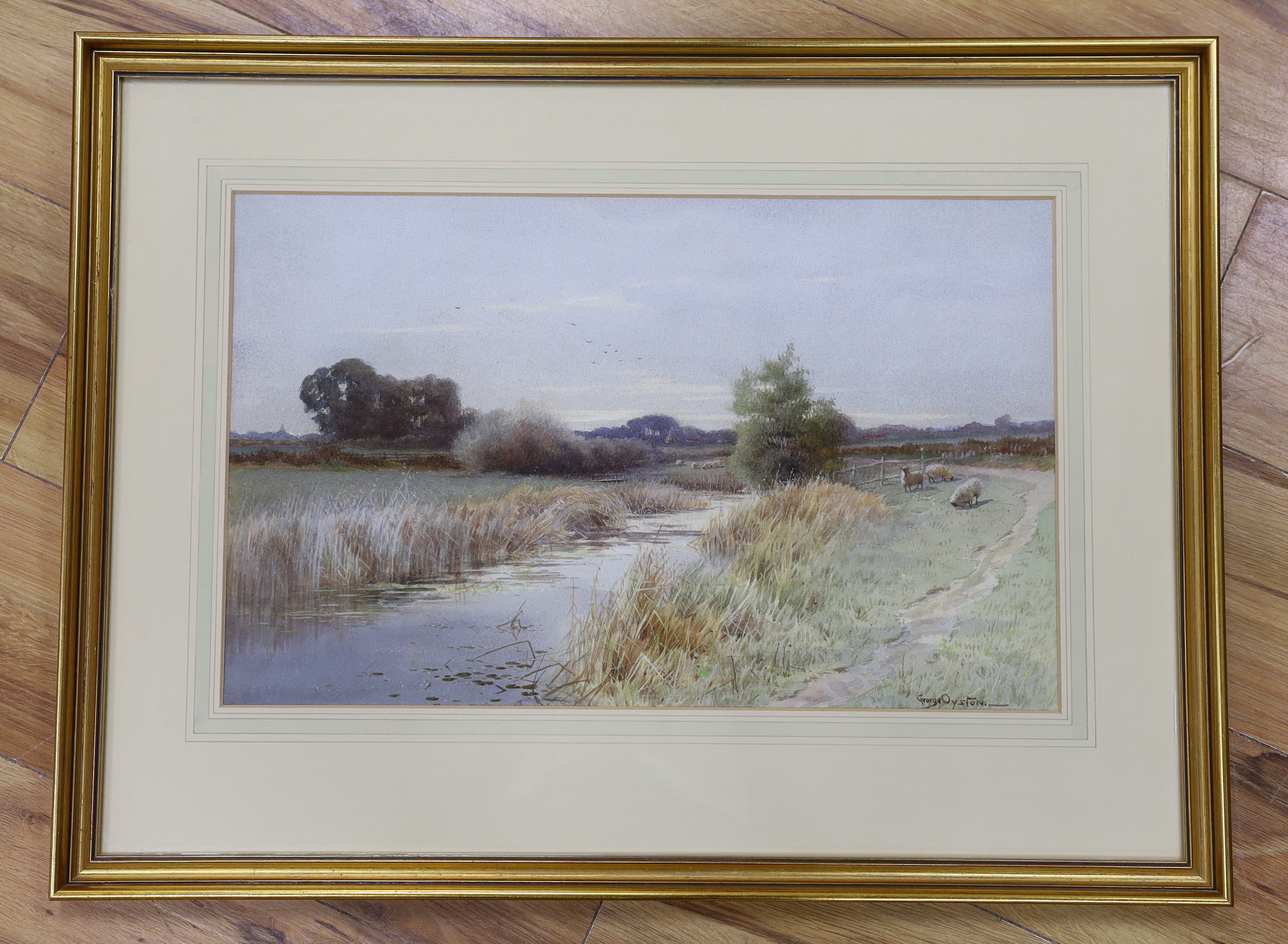 George Oyston (1861-1937), watercolour, Sheep beside a stream, signed, 50 x 30cm